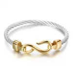Bracelet bicolore composé d'un câble torsadé en argent et d'un fermoir à crochet en forme de S en or, sur fond blanc.